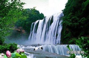 生化危机：浣熊市行动